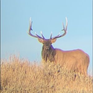 Meet your Posher, Austin